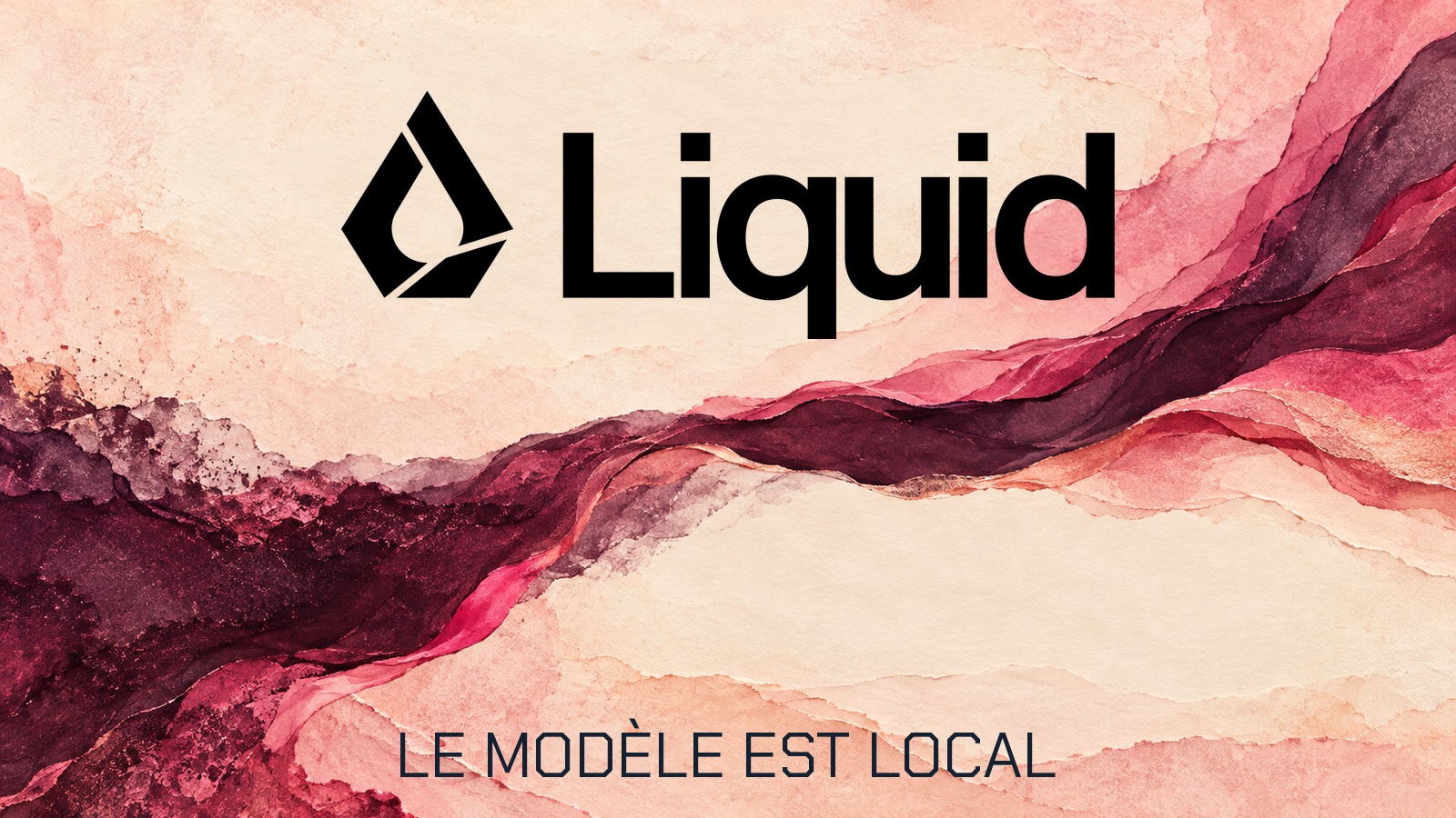 Logo officiel Liquid AI. Le modèle est local.